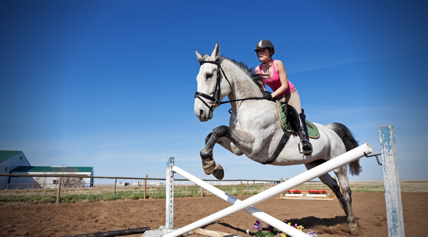 Hygiene & Bio-security for the event rider – RenaSan