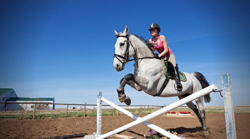 Hygiene & Bio-security for the event rider