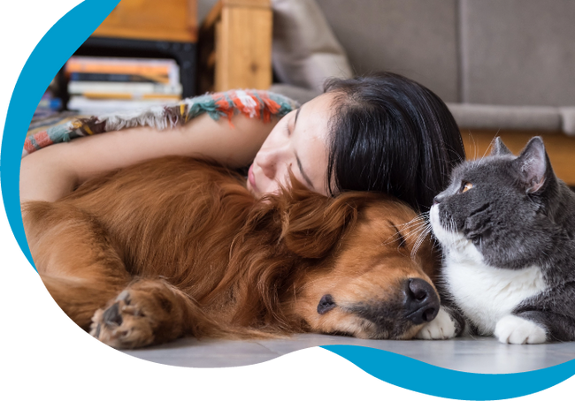 Who else uses RenaSan Animal Healthcare products?