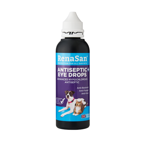 Human allergy eye drops for dogs best sale