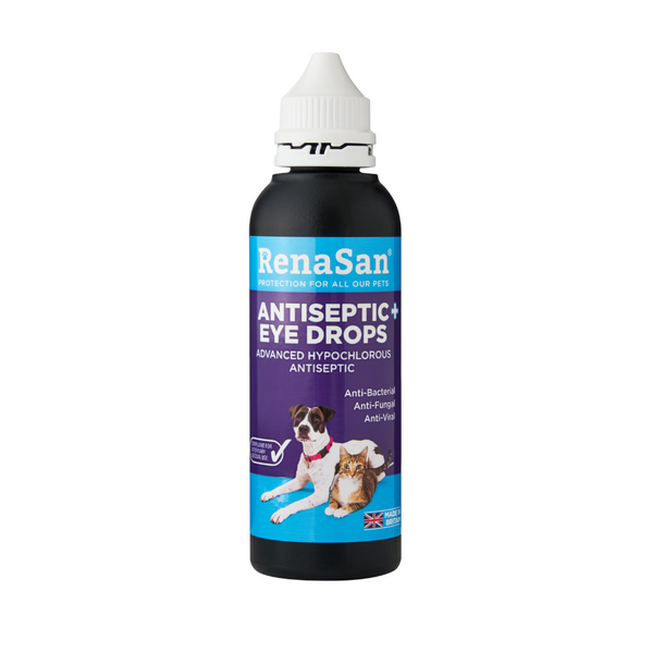 Antimicrobial eye drops for dogs online