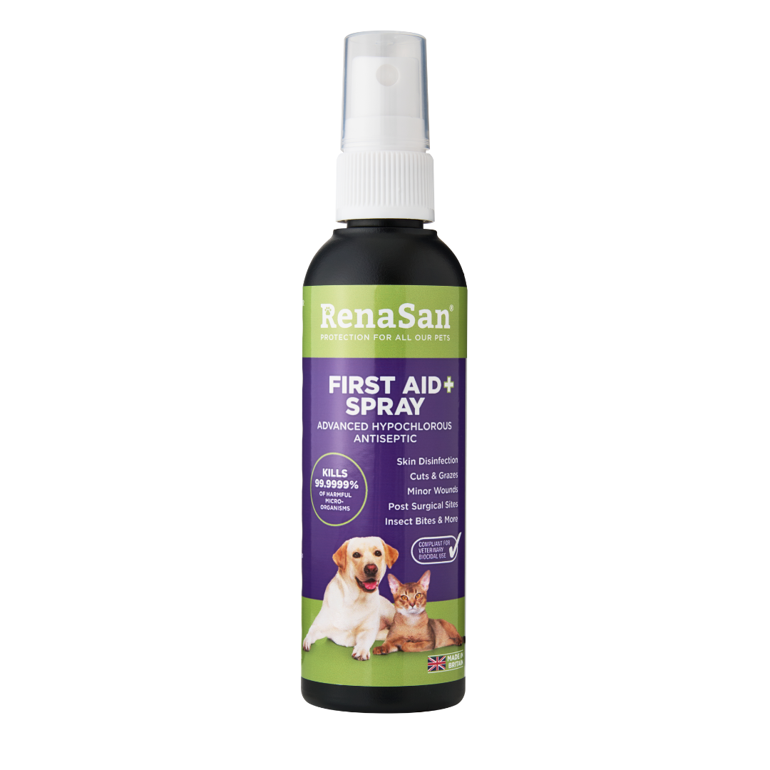 human antiseptic spray for dogs