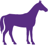 Animal Shape - Horse